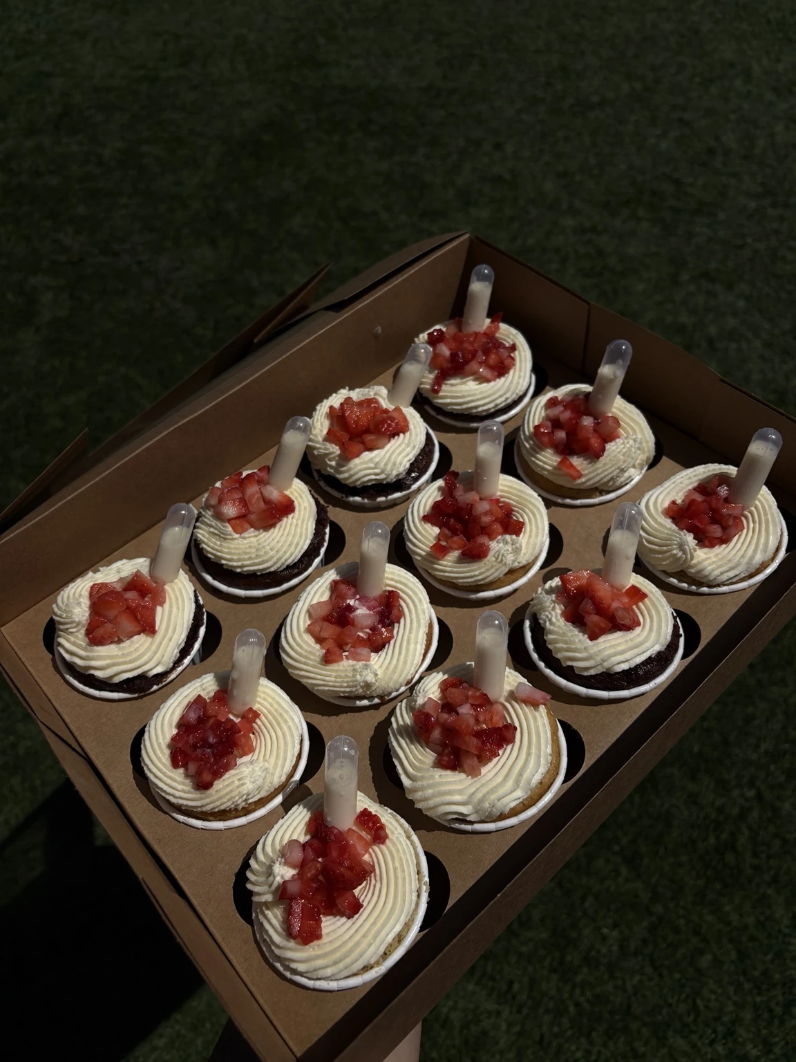 Cupcakes in a bakery box