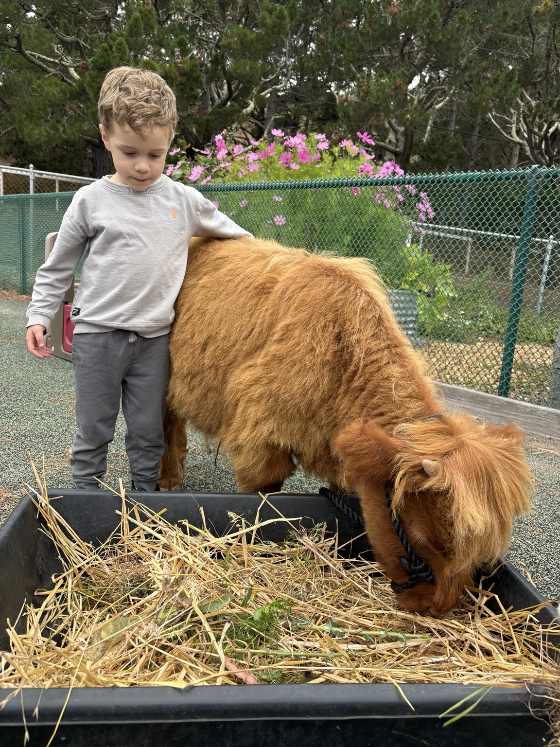 Child standing beside Gibby