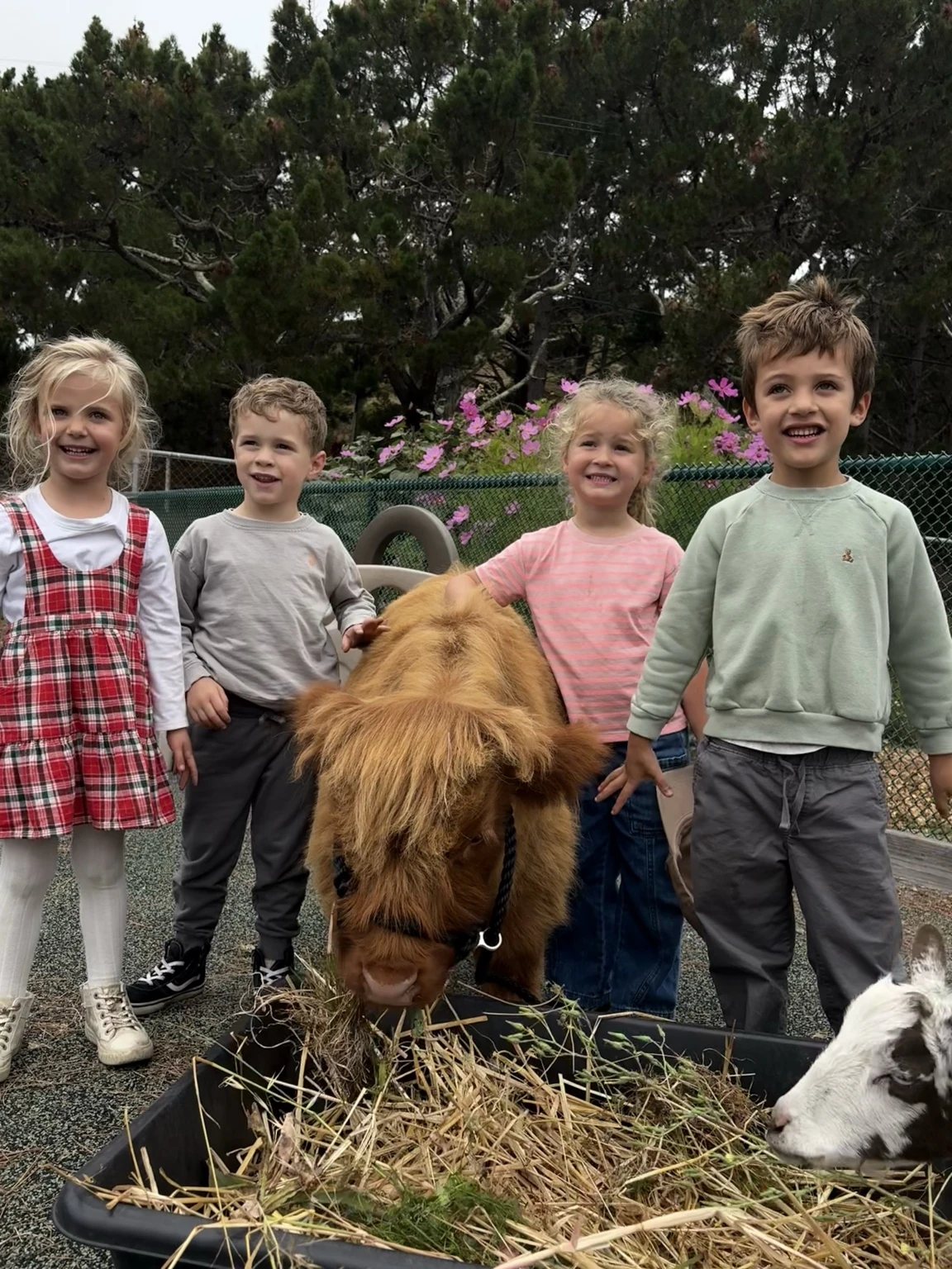 A group of children enjoying time with Gibby