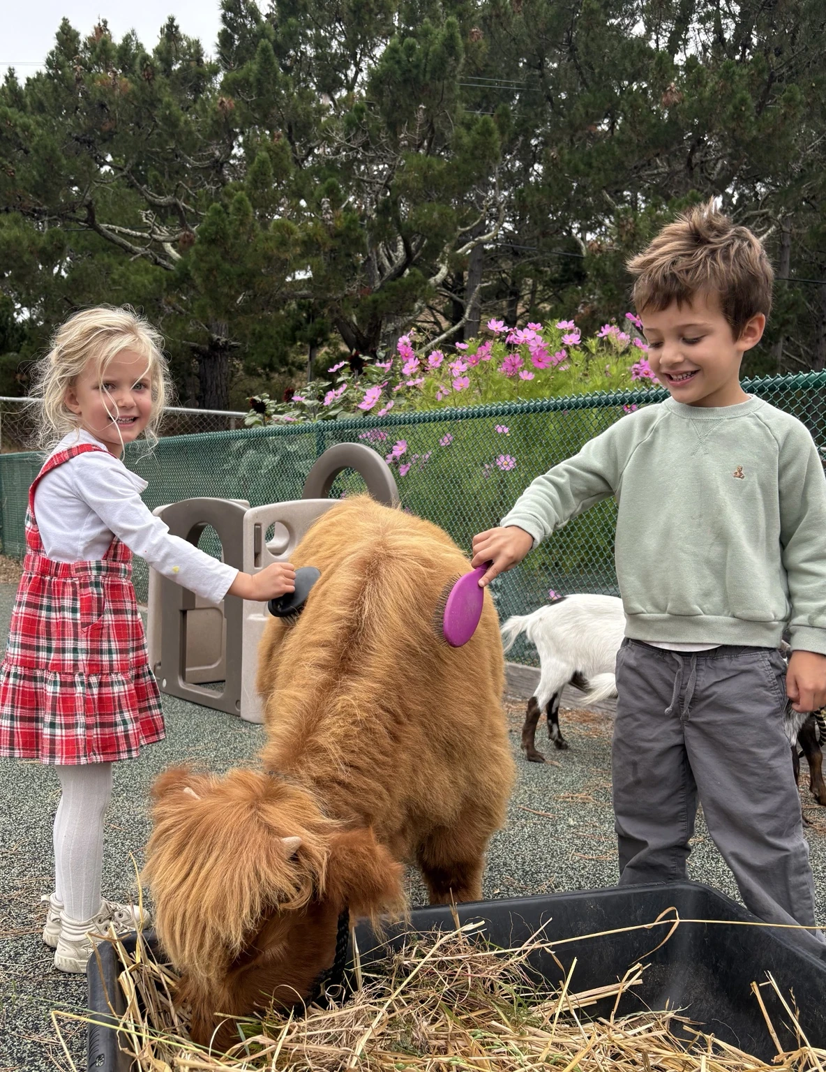 Children brushing Gibby together